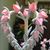 Jennifer Dressler's profile image