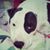 Linda Langevin Tallmadge's profile image