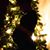 Jennifer Vaid's profile image