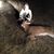 Ty Kleinknecht's profile image