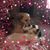 Kathleen Duley's profile image