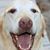 Dotty Stewart's profile image