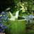 Rita Graefen Harris's profile image