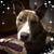 Kathryn Bolin's profile image