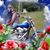 Dana E Boggs's profile image
