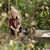 Sarah 'ebensteiner' Marsh's profile image