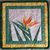 S. Ruth Hameed's profile image
