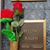Carmela Bellino's profile image