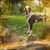 Heather Dennison's profile image