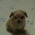 Rosalinda Ma's profile image