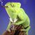 Patrick Laden's profile image