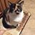 Diane Clare's profile image