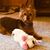 Cynthia Crann Donovan's profile image