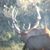 Jim Beardo's profile image