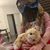 Krista Herrmann's profile image