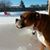 Mary Hance's profile image