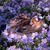 Cathy Katzer's profile image