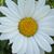 Heather L. Johnson's profile image
