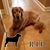 Ginny Philgren-Woods's profile image