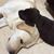 Donna Jones Vucetic's profile image