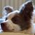 Mandy Maclean's profile image