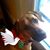 Lorna Wuerthele Mattern's profile image