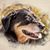 Jessica Acevedo's profile image