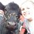 Betsy Wolford Miller's profile image