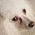 Brenda Andrews's profile image