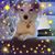 Carole DeVries Bowman's profile image