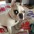 Lois Ogburn's profile image