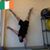 Patrick Sean Mcguire's profile image