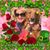 Susie Painter's profile image
