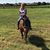 Joanie Omahen's profile image