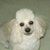 Susan Barrett's profile image