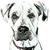 Allison Hogue's profile image
