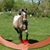 Norene Carlson's profile image