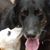 Julie Stakem Thomas's profile image