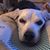 Vikki Lynn Broaddus's profile image