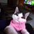 Sandy Knaggs's profile image