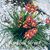 Karen Thomas's profile image