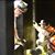 Rich Wertman's profile image