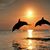 Kathy Fuller-Devlin's profile image