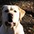 Beverly Headrick's profile image