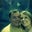 Kate Kester's profile image