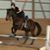 Cindy Werner's profile image