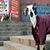 Charles Heiden's profile image