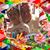 Frank Esposito's profile image