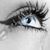 Stephanie Cornelio's profile image