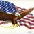 cailean2006's profile image